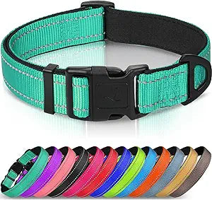SafeGlow Reflective Collar