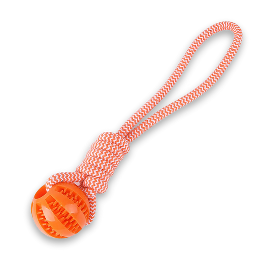 Treat Puzzle Toy